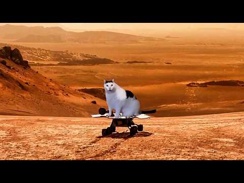 The Mars Trilogy: Rex the Cat Epic Space Adventure (Full Compilation) | Funny Cat