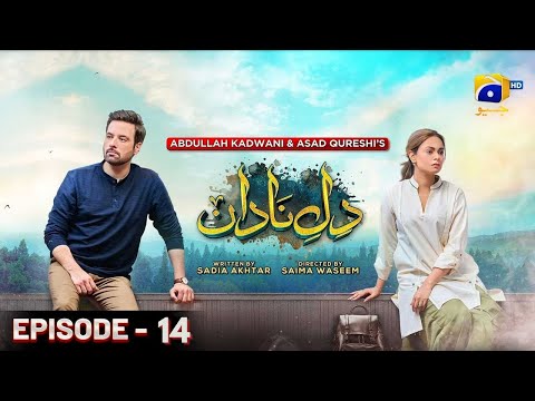 Dil-e-Nadan Ep 14 - Ali Abbas Starts Loving Amar Khan ❤️