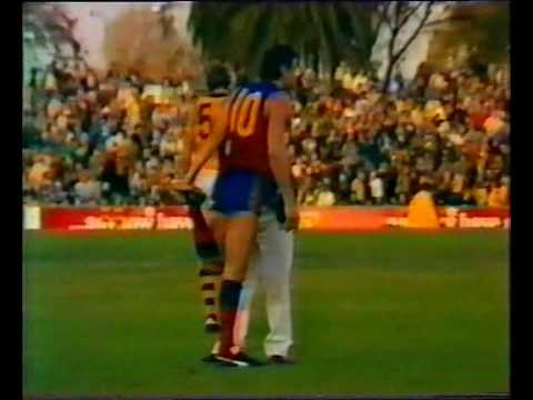 VFL R7 1982 - Fitzroy v Hawthorn