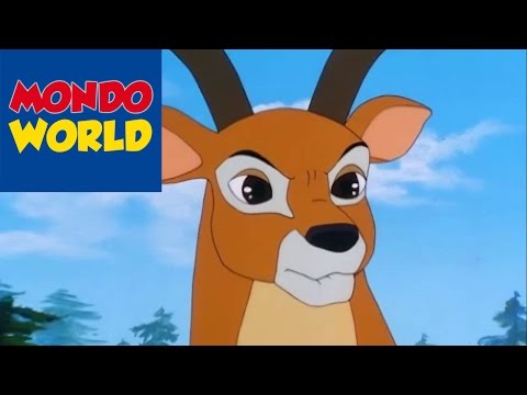 ROI LION SIMBA ép.46 - RETOUR A LA FORET NOIRE | SIMBA dessin animé complet en francais