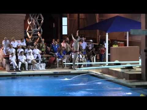 A-Boys 1m Final - Diving Junior World Championships 2010