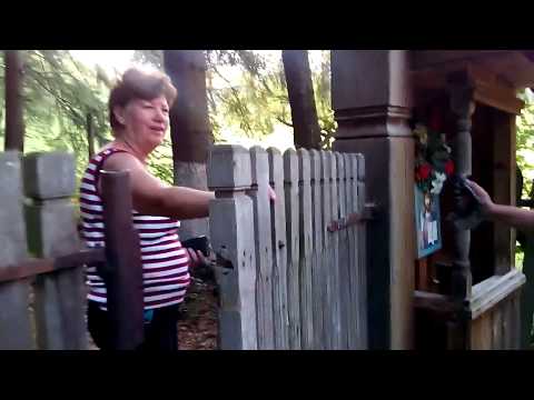 8. Pensiunea Vulturul, itinerar catre Manastirea Poiana Marului