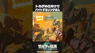 トカゲの仕分けでバイトするリンクさん【ゼルダの伝説 ティアキン】