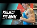 My Plan To Get Stupid Jacked and Strong
