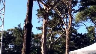 Steve Earle "L.A. Freeway" song by Guy Clark (San Francisco, 30 September 2016)