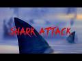 Shark Attack Full Movie