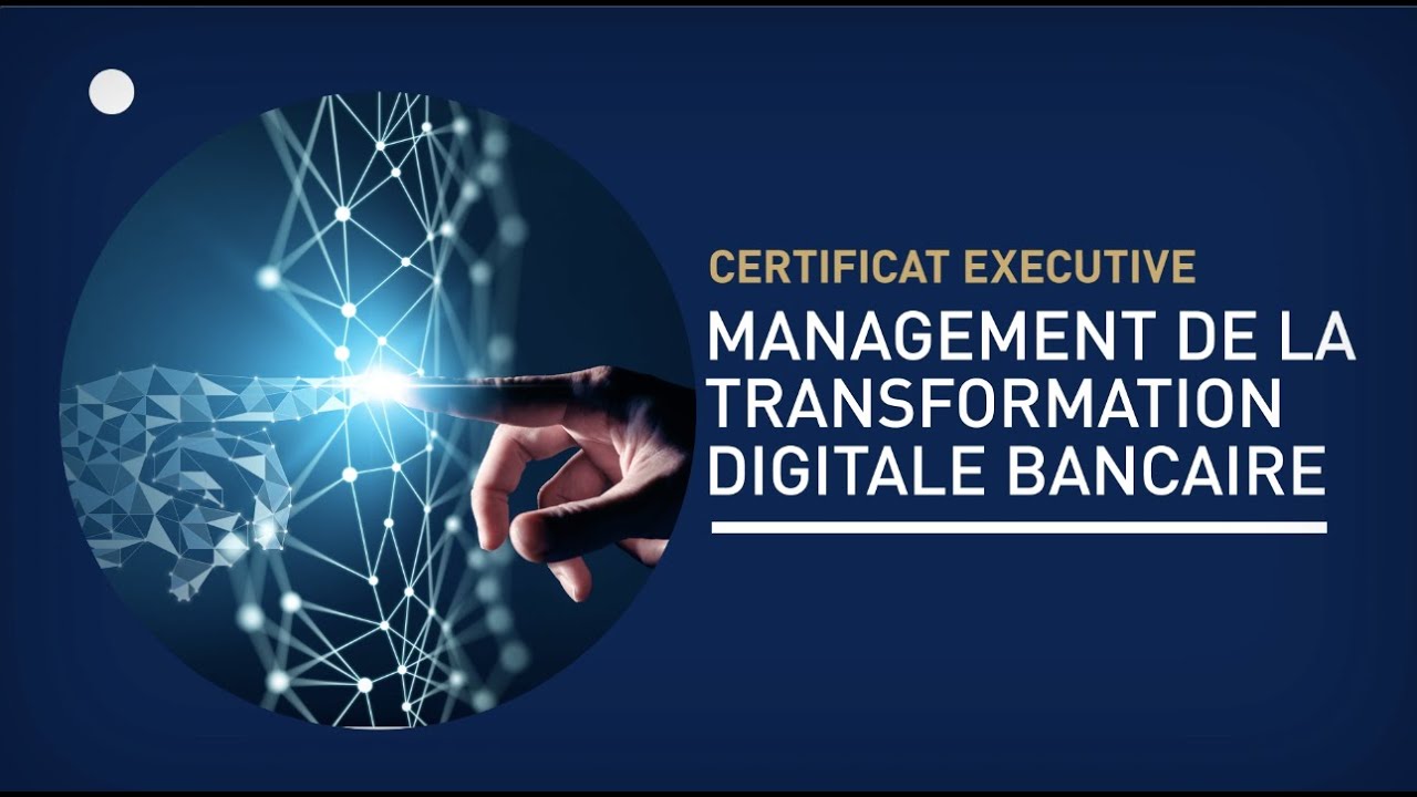 Management de la Transformation Digitale Bancaire - HEC Paris Executive Education