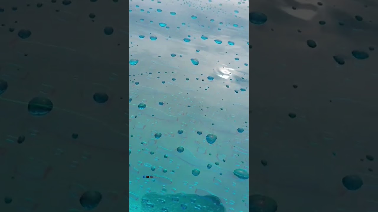 Blue Light Effect Rain Nature | Monsoon #shorts #nature #short