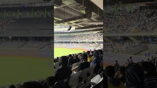 【Team Taiwan】#premier12  台湾VSオーストラリア@台北大巨蛋20241117 #台湾チア #cheerdance #cheerleading #啦啦隊 #amaze #中華隊