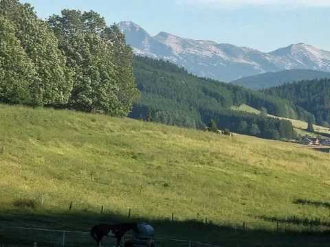 Relaxation guidée - Promenade à la campagne...