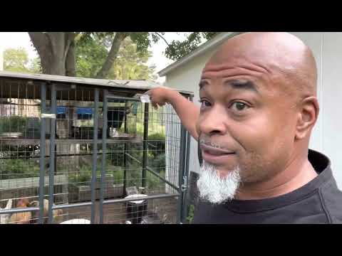 Assembling the Rugged Ranch Omaha Chicken Coop 4K