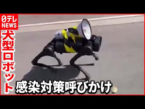 コロナ:本当にロックダウンはいつ緩和すべきなのか? RKIの研究者が明らかに