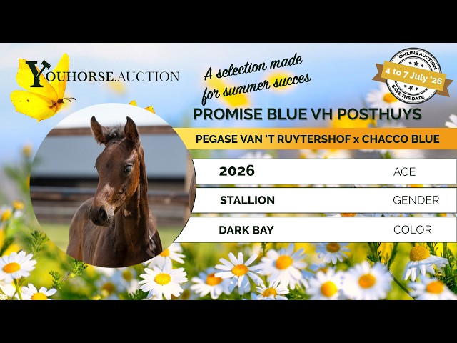 Promise Blue vh Posthuys