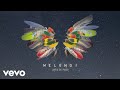 Melendi - Aves de Paso (Audio) Melendi - Aves de Paso (Audio)
