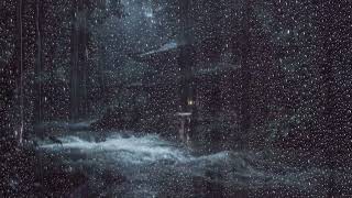 Heavy Rain Sounds on an Evergreen Forest Stream | Deep Sleep, Stress Relief & Relaxation | 3o Minute