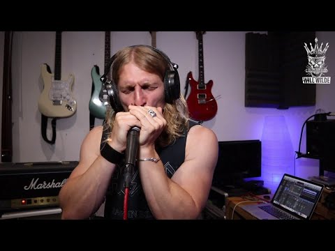 FREEBIRD SOLO PLAYED ON HARMONICA (Lynyrd Skynyrd)