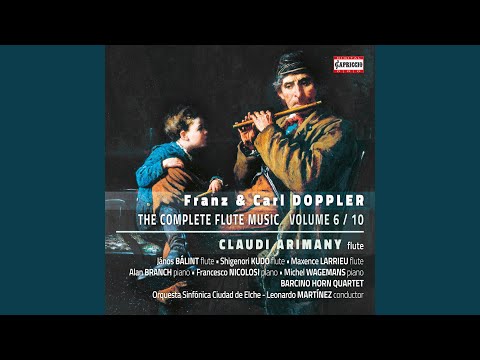 Fantaisie sur des motifs hongroises, Op. 35 (Version for 2 Flutes & Orchestra)