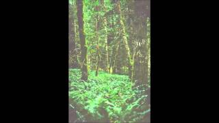 Cover Sur l'autre rive je t'attendrais - Alcest