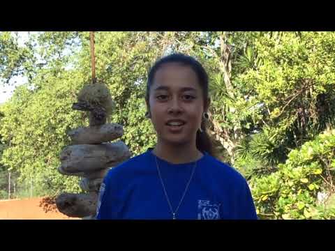 Le concours de poésie Henri HIRO 2023 - Vidéo de présentation de Itchner Tevai.