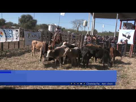 INTENDENTE DE ING. JUÁREZ VALORA REMATE GANADERO