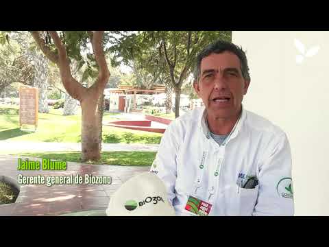 Biozono: regeneración de suelos eliminando residuos (VIDEO)