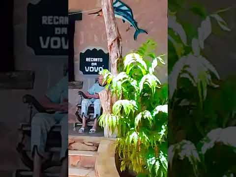 Capistrano CE #turismo#hotel#pousada#capistrano#ceará #natureza #nordeste #beleza #retro #paz#vida