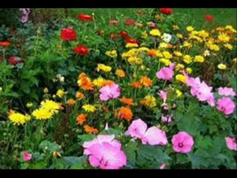 2° Estudio de la Biblia. Por: Allan Román