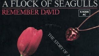 A Flock Of Seagulls - Remember David (7&quot; Edit)