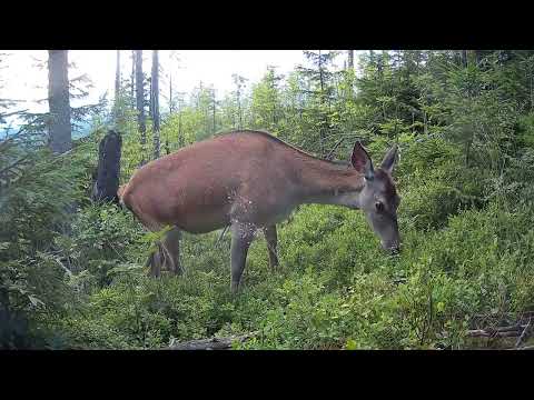 Slovenský raj - dokument rok v národnom parku Slovenský raj