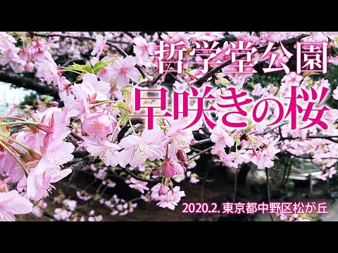 【動画で選ぶ】哲学堂公園写真