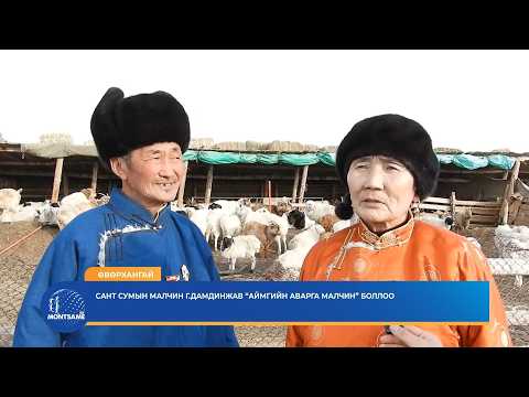 ӨВӨРХАНГАЙ: Сант сумын малчин Г.Дамдинжав “Аймгийн аварга малчин” боллоо