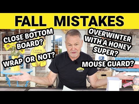 Beekeeping | When & How To Prepare Your Bees For Winter