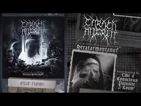 Video thumbnail for Like a Conscious Parasite I Roam