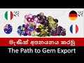 නිවැරදිව මැණික් අපනයනය කරමු Let S Export Sri Lankan 