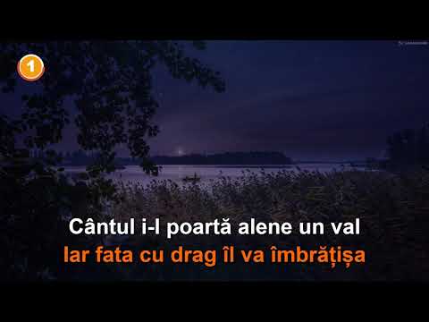 Corina Chiriac - Valurile Dunării. 🄺🄰🅁🄰🄾🄺🄴