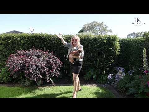 1/127 Grand Drive | Remuera