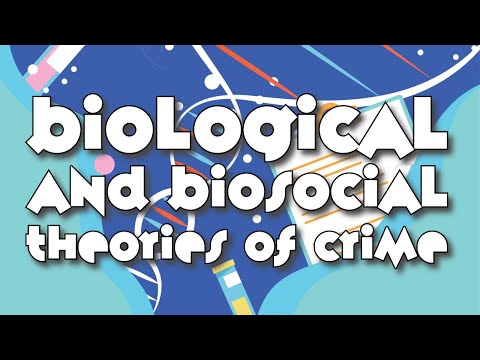 Born That Way: Biological and Biosocial Theories of Crime