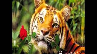 Ossian-Nézz rám (Kitörés album 1992&#39;)