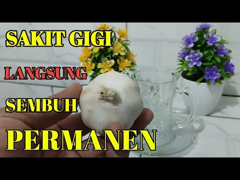 Obat sakit gigi berlubang paling ampuh Tanpa Harus Pergi ke Dokter Gigi