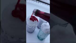 Another year, another snow day to enjoy like pros. ❄️ Who’s in? 🤣 #sia #snowman #shorts #fyp