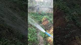 Download lagu Mag dilig Oli ako sa green huose gulayan sa paaralan  mp3