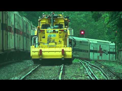 SCT crawling through Mt Lofty