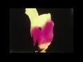 07 - Breeders - Put on a Side
