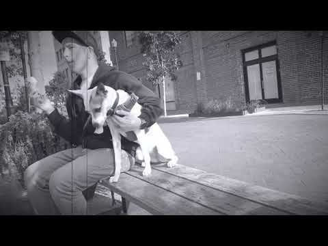 Jeff is Drums X National Dog Day!