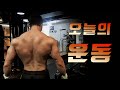 허리부상?? l 허리에 부담없는 등운동 루틴