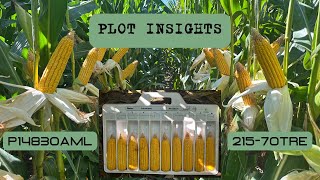 Plot Insights P14830AML vs 215-70TRE