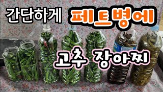 페트병에 고추 장아찌 담으면 1년 지나도 아삭아삭