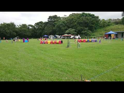 Bruno - NC - 25-02-23