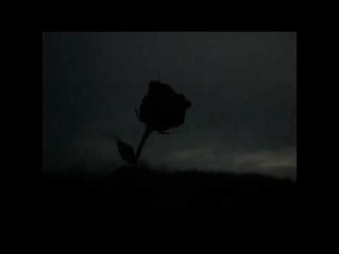 [ free ] Alpha Wann x Lesram x Limsa D'Aulnay type beat - "snakes" (prod. nausaah)