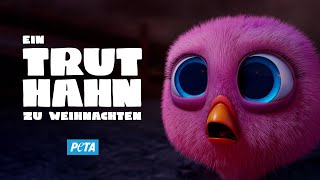 Weihnachten OHNE Speziesismus 🦃🎄